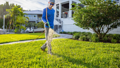 How to Create and Maintain a Beautiful Lawn