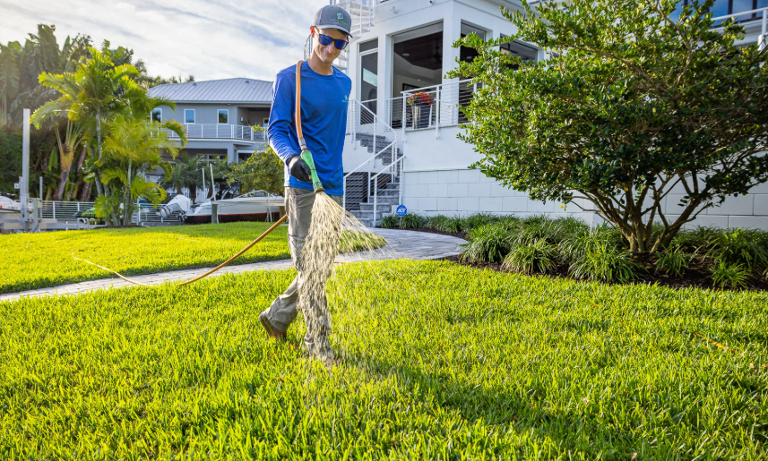 How to Create and Maintain a Beautiful Lawn