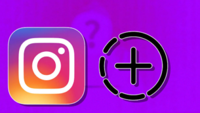AnonyIG Instagram Story Viewer: Stay Invisible While You Stay Informed