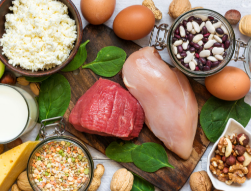 The Benefits of Protein for Weight Loss and Athletes