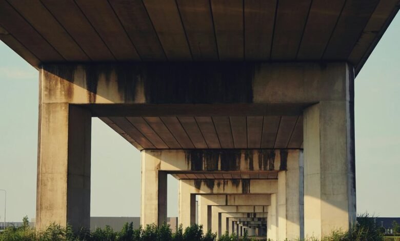 network oversight contact numbers