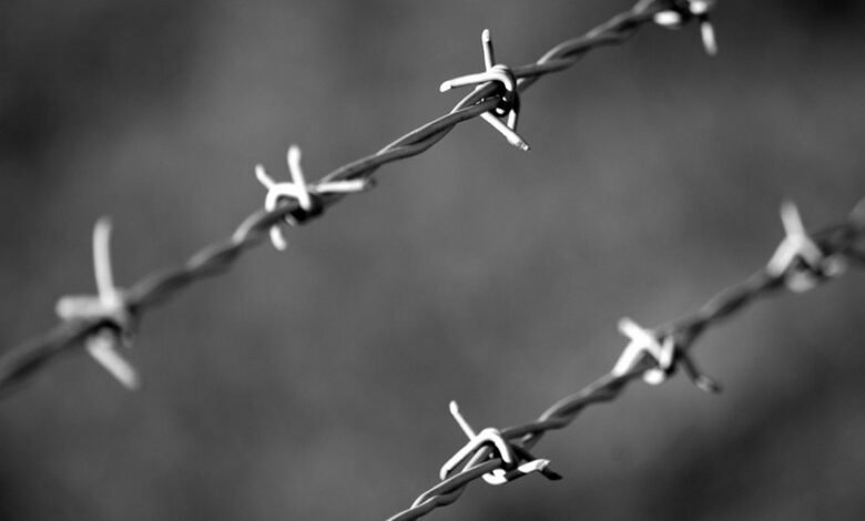 telecom security division contacts